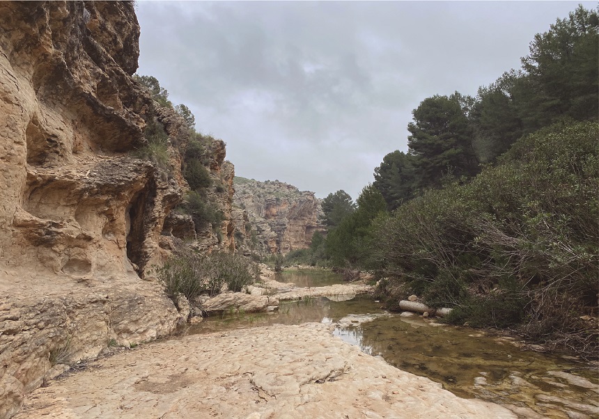 Rambla Perea
